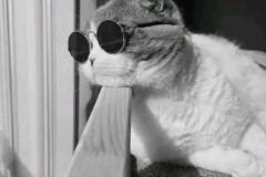 利物浦VS阿森纳：英超焦点战球队状态全面解析